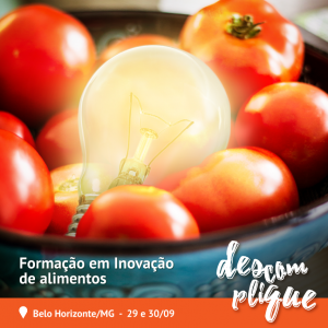 inovação, engenharia, alimentos, belo horizonte, sra inovadeira, P&D, R&D, pesquisa, desenvolvimento, curso, formação, capacitação