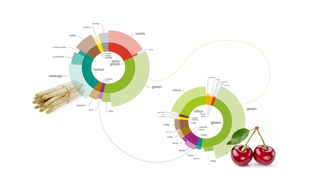 foodpairing, food innovate summit, amesterdam, inovação, alimentos, sra inovadeira, palestra, pesquisa, desenvolvimento, tendência, sabor